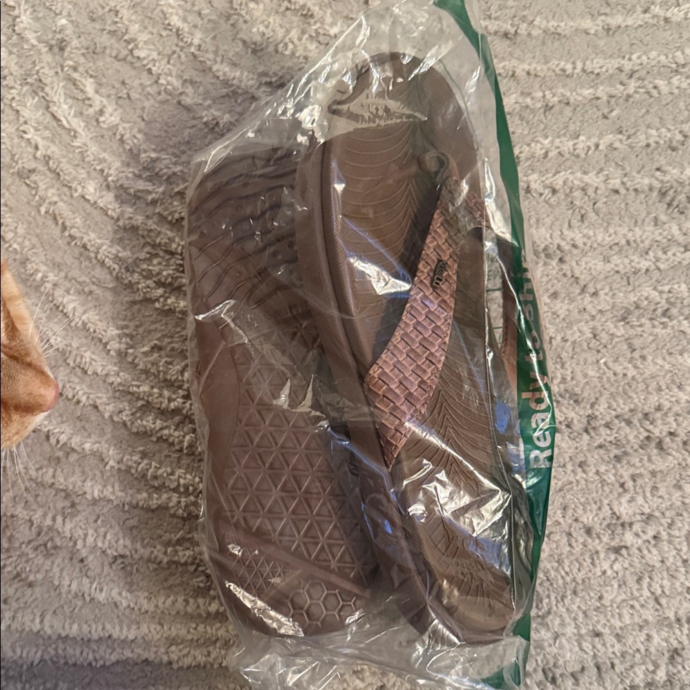 Brown Flip Flops